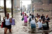 katrina1.jpg