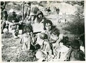 dersim.jpg